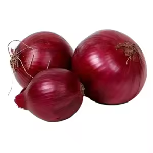 RED CREOLE
