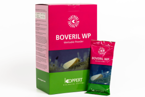 BIOINSECTICIDES BOVERIL 1KG